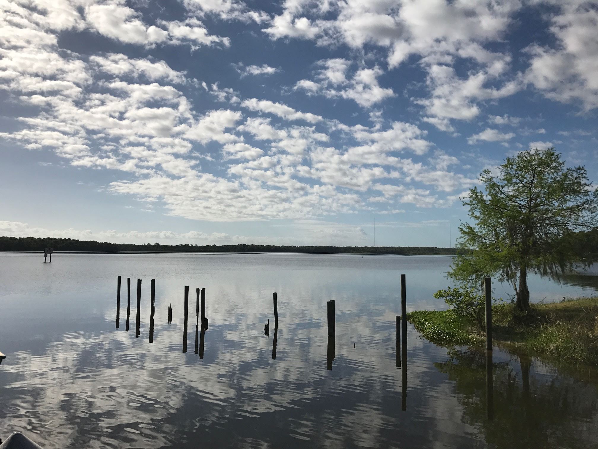 Lake in Deland Florida